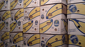 850 638 279 156